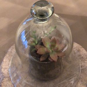 Meet your Posher, Cara